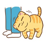 Orange Cat WhatsApp Sticker #11