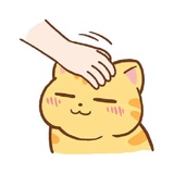 Orange Cat WhatsApp Sticker #12
