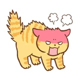 Orange Cat WhatsApp Sticker #15