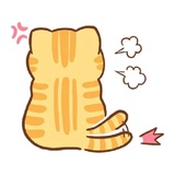 Orange Cat WhatsApp Sticker #16