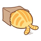 Orange Cat WhatsApp Sticker #18