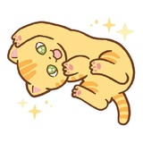 Orange Cat WhatsApp Sticker #19
