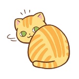 Orange Cat WhatsApp Sticker #2