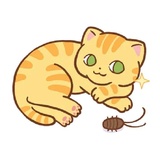 Orange Cat WhatsApp Sticker #21