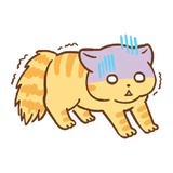 Orange Cat WhatsApp Sticker #23