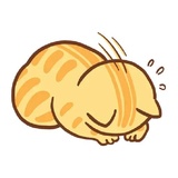 Orange Cat WhatsApp Sticker #24