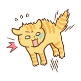 Orange Cat WhatsApp Sticker #25