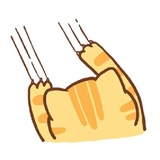 Orange Cat WhatsApp Sticker #28