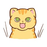 Orange Cat WhatsApp Sticker #3