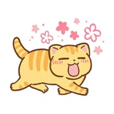 Orange Cat WhatsApp Sticker #5
