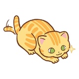 Orange Cat WhatsApp Sticker #7