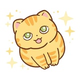 Orange Cat WhatsApp Sticker #8