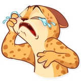 Orange Sunshine WhatsApp Sticker #13