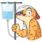 Orange Sunshine WhatsApp Sticker #23