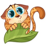 Orange Sunshine WhatsApp Sticker #9