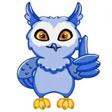 Owl Madness
