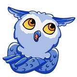 Owl Madness WhatsApp Sticker #14