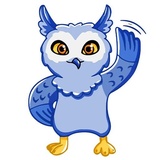 Owl Madness WhatsApp Sticker #20