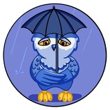 Owl Madness WhatsApp Sticker #22