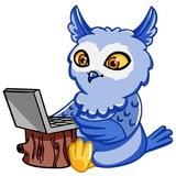 Owl Madness WhatsApp Sticker #5