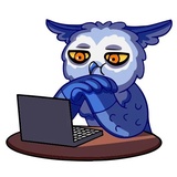 Owl Madness WhatsApp Sticker #6