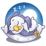 Savva Owler WhatsApp Sticker #4