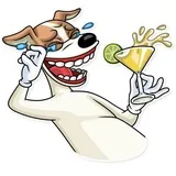 Party Dog