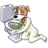 Party Dog WhatsApp Sticker #30