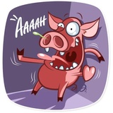 Pete the Pig WhatsApp Sticker #11
