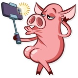 Pete the Pig WhatsApp Sticker #6