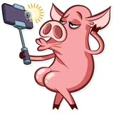 Sticker 6