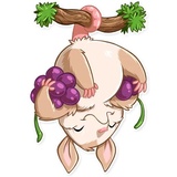 Oppi WhatsApp Sticker #21