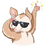 Oppi WhatsApp Sticker #3