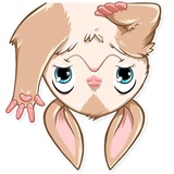 Oppi WhatsApp Sticker #5