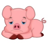 Cute Pig WhatsApp Sticker pack