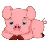 Cute Pig