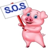 Cute Pig WhatsApp Sticker #11