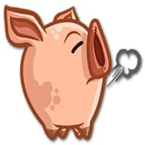 Piggy WhatsApp Sticker #13