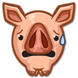 Piggy WhatsApp Sticker #17