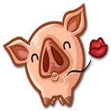 Piggy WhatsApp Sticker #21