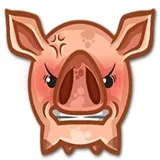 Sticker 9