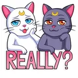 Sticker 8