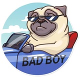 Pug Power WhatsApp Sticker #26