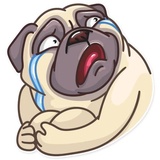 Pug Power WhatsApp Sticker #29