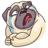 Sticker 29