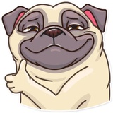Pug Power WhatsApp Sticker #3