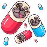 Pug Power WhatsApp Sticker #30