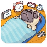 Pug Power WhatsApp Sticker #8