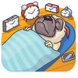 Sticker 8