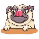 Pug Power WhatsApp Sticker #9